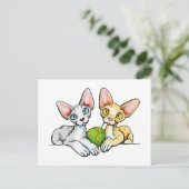 ダブルデヴォン ポストカード (スタンド正面)