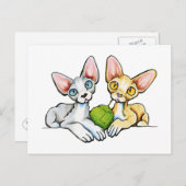 ダブルデヴォン ポストカード (正面/裏面)