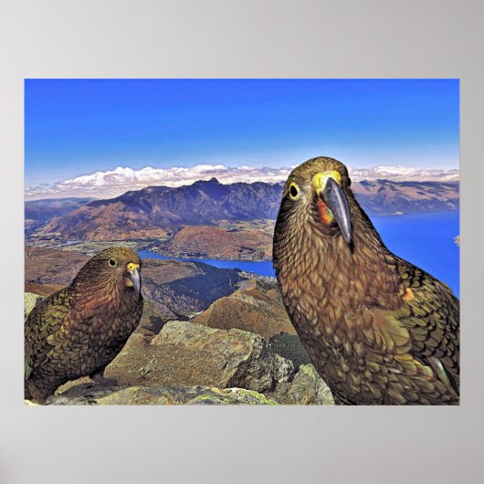 ダブルトラブルケア ポスター (正面)