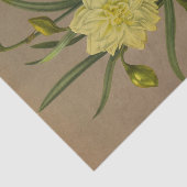 ダブルナルキッスサルファクロオンシルバーフェニックス 薄葉紙 (詳細)