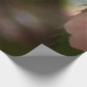 ダブルパルーミングさくらんぼツリーI春フローラ ウッドポスター (コーナー)