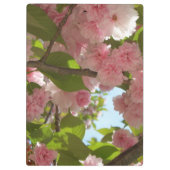 ダブルパルーミングさくらんぼツリーI春フローラ クリップボード (裏面)