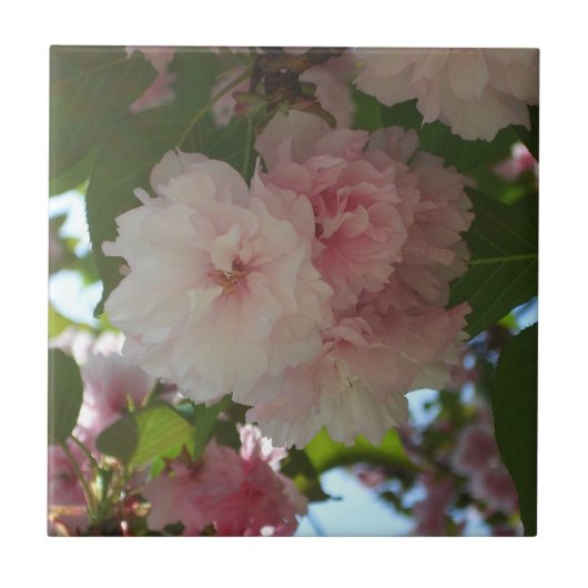 ダブルパルーミングさくらんぼツリーI春フローラ タイル (正面)