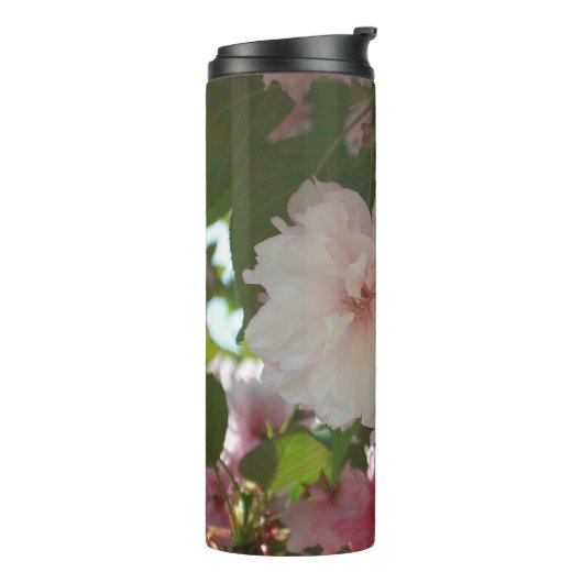 ダブルパルーミングさくらんぼツリーI春フローラ タンブラー (回転左)