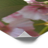 ダブルパルーミングさくらんぼツリーI春フローラ ポスター (角)