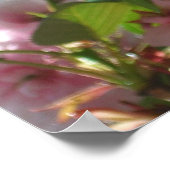 ダブルパルーミングさくらんぼツリーI春フローラ ポスター (角)