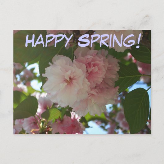 ダブルパルーミングさくらんぼツリーI春フローラ ポストカード (正面)