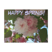 ダブルパルーミングさくらんぼツリーI春フローラ