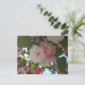 ダブルパルーミングさくらんぼツリーI春フローラ ポストカード (スタンド正面)