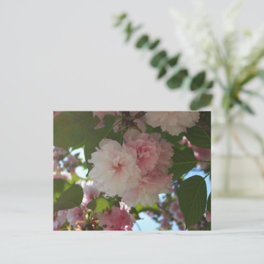 ダブルパルーミングさくらんぼツリーI春フローラ ポストカード (スタンド正面)