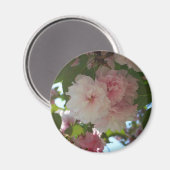 ダブルパルーミングさくらんぼツリーI春フローラ マグネット (正面/裏面)