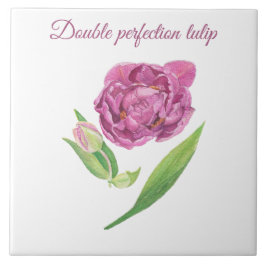 ダブルパーフェクトのチューリップ植物水色 タイル