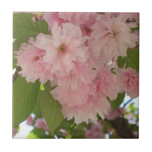 ダブルパームさくらんぼツリーII春フローラ タイル (正面)