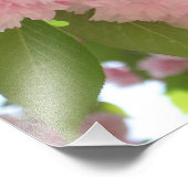 ダブルパームさくらんぼツリーII春フローラ フォトプリント            (角)