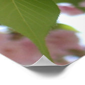 ダブルパームさくらんぼツリーII春フローラ ポスター (角)