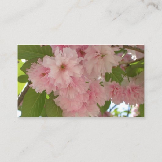 ダブルパームさくらんぼツリーII春フローラ 名刺 (裏面)