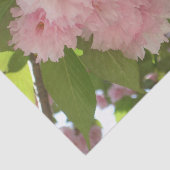 ダブルパームさくらんぼツリーII春フローラ 薄葉紙 (詳細)