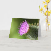 ダブルピンクのさくらんぼが咲く歓迎春 カード (黄色い花)