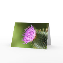 ダブルピンクのさくらんぼが咲く歓迎春