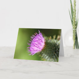 ダブルピンクのさくらんぼが咲く歓迎春 カード