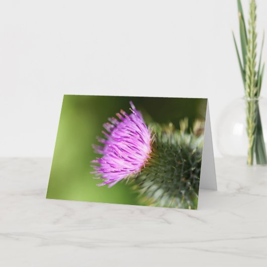 ダブルピンクのさくらんぼが咲く歓迎春 カード (正面)