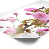 ダブルピンクのさくらんぼが咲く歓迎春 フォトプリント            (角)