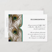 ダブルフレームが付いている孔雀の羽 エンクロージャーカード (正面/裏面)