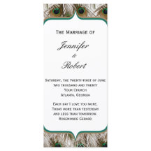 ダブルフレームプログラムで羽を孔雀