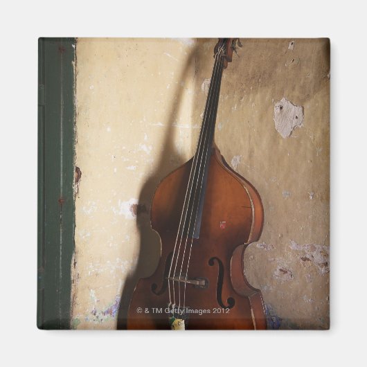 ダブルベース マグネット (正面)