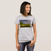 ダブルレインボースルーTシャツ Tシャツ (正面フル)