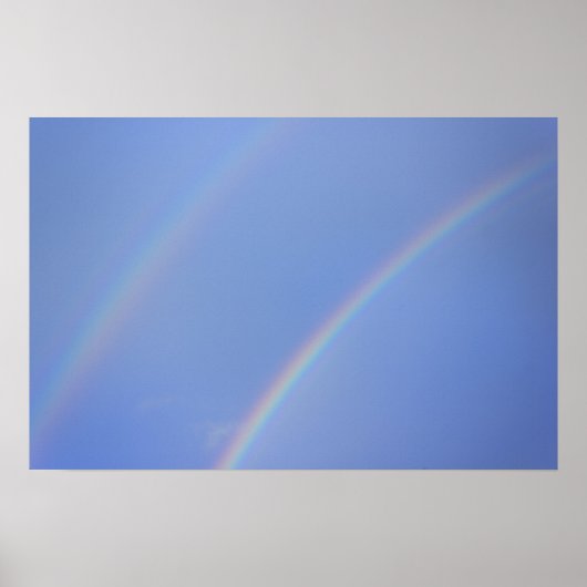 ダブルレインボー ポスター (正面)