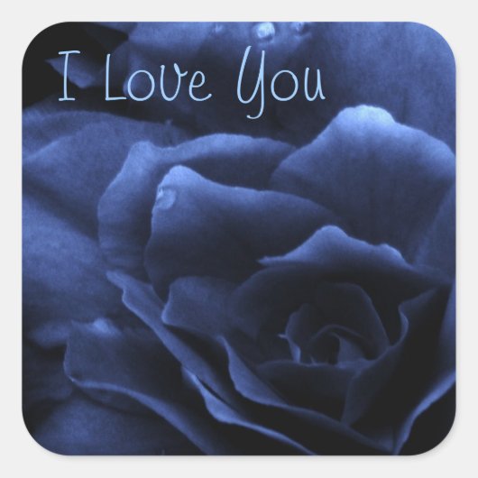 ダブル王室のベゴニアのブルークローズアップ スクエアシール (正面)