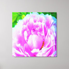 ダブル素晴らしピンク牡丹フラワー詳細 キャンバスプリント