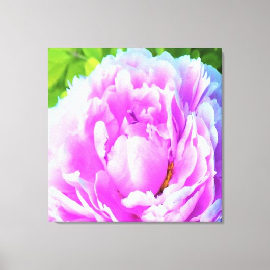 ダブル素晴らしピンク牡丹フラワー詳細 キャンバスプリント (正面)