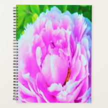 ダブル素晴らしピンク牡丹フラワー詳細