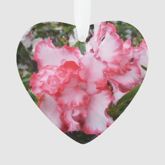ダブル赤と白ツツツツジ春フローラ オーナメント (正面)