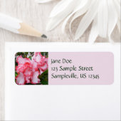 ダブル赤と白ツツツツジ春フローラ ラベル (インサイチュ)