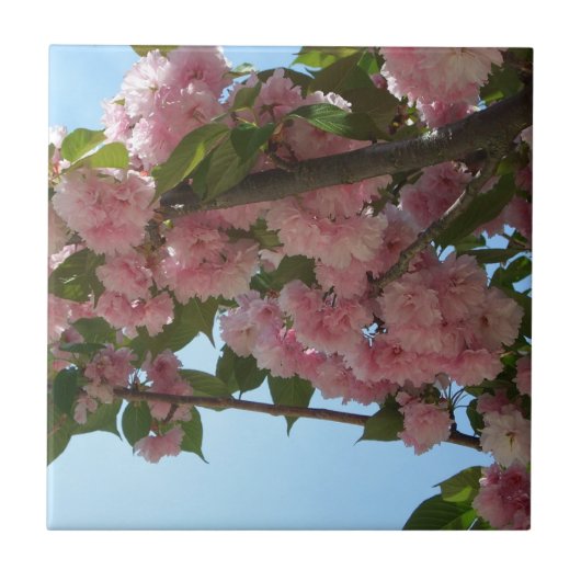 ダブル開花さくらんぼツリーIV春 タイル (正面)