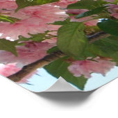 ダブル開花さくらんぼツリーIV春 ポスター (角)