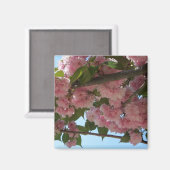 ダブル開花さくらんぼツリーIV春 マグネット (正面/裏面)