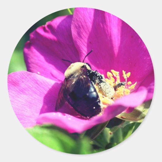 ダブル・デューティ・ハチの花 ラウンドシール (正面)