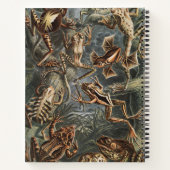 ダブル・トラブル・ウィッチ・ジャーナル ノートブック (裏面)