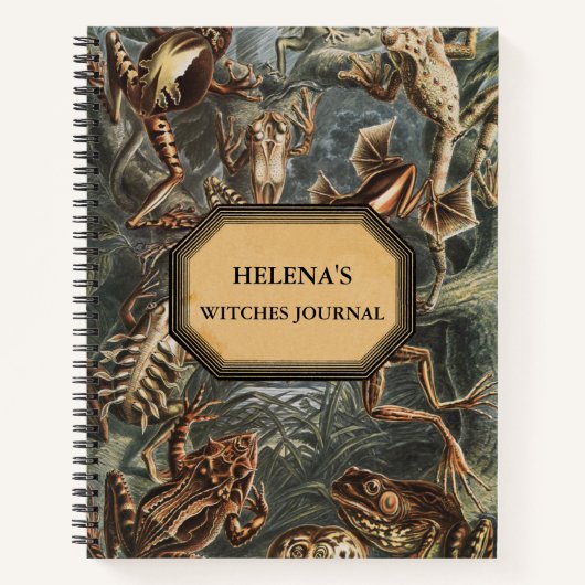 ダブル・トラブル・ウィッチ・ジャーナル ノートブック (正面)