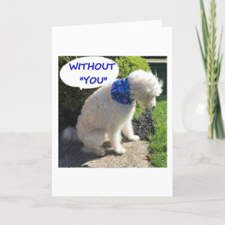 ダブル・ドードル「あなたなしで私は青い！」 シーズンカード