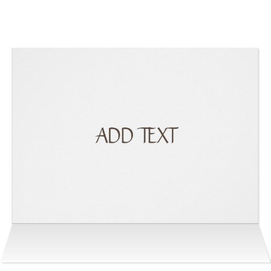 ダマエレガントスク (内部横(上))