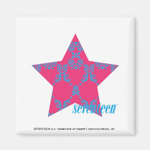 ダマスクアクア-マゼンタ2 マグネット