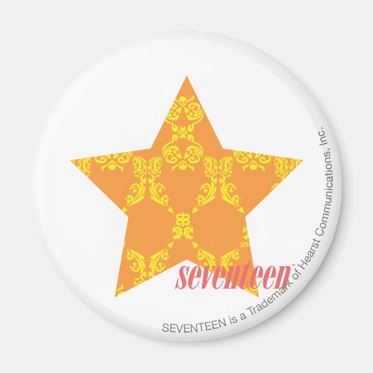 ダマスクオレンジ – 黄3 マグネット (正面)