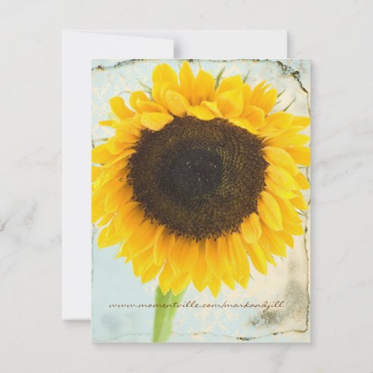 ダマスク動揺してひまわり結婚式の日付保存 セーブザデート (裏面)