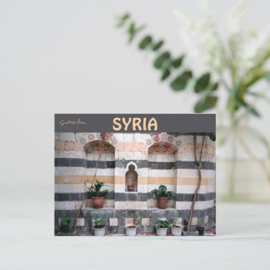 ダマストライプスカスシリアの植物 ポストカード (スタンド正面)