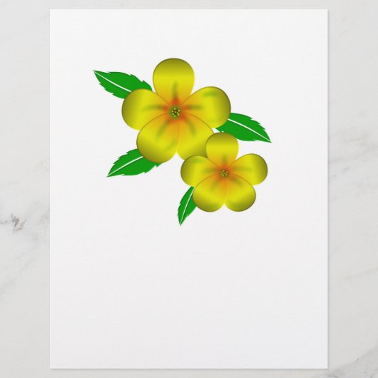 ダミアナ黄色の花 チラシ (正面)